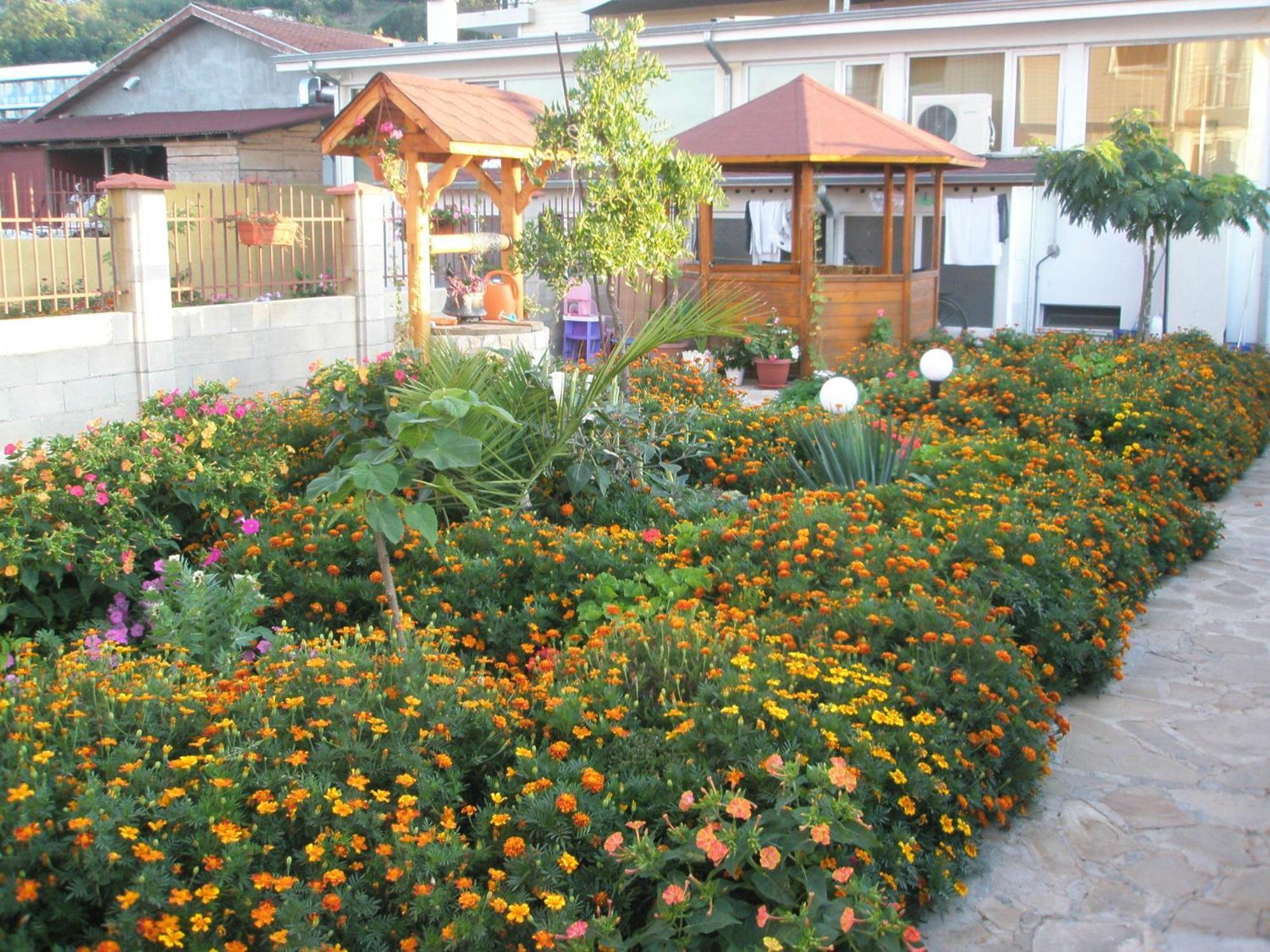 Hotel Morski Dar Kranewo Exterior foto